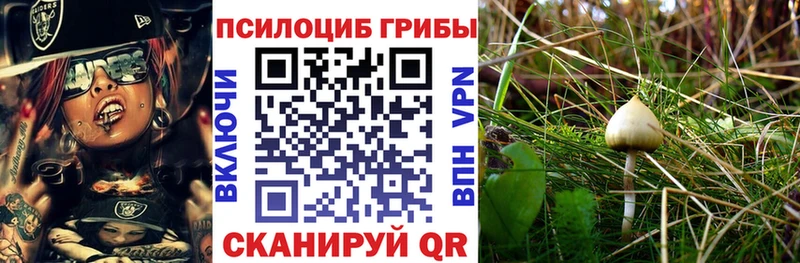 Псилоцибиновые грибы ЛСД  ссылка на мегу как зайти  Будённовск 